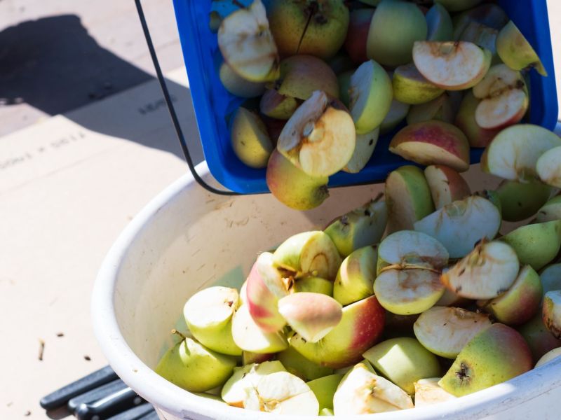 Apfelschnitze zum Mosten.jpg